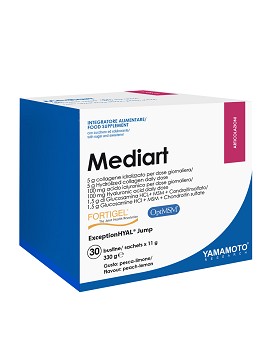 Mediart® 30 sachets of 11 grams - YAMAMOTO RESEARCH