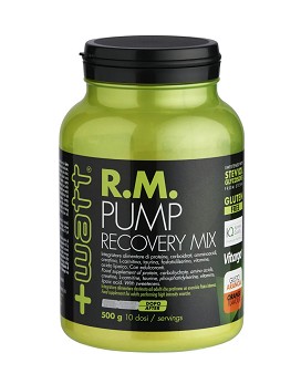 R.M. Pump Recovery Mix 500 g - +WATT