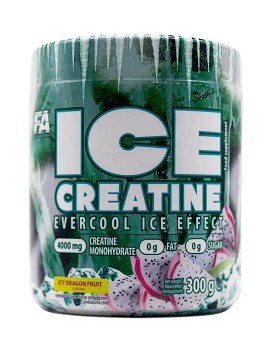 Ice Creatine 300 g - FITNESS AUTHORITY