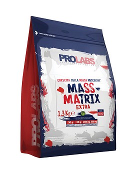 Mass Matrix Pro 1300 grammes - PROLABS