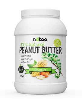 Peanut Butter Crunchy 2000 g - NATOO