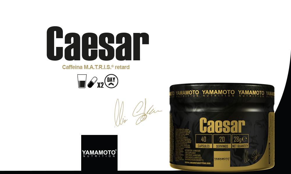 Yamamoto Nutrition - Caesar - IAFSTORE.COM