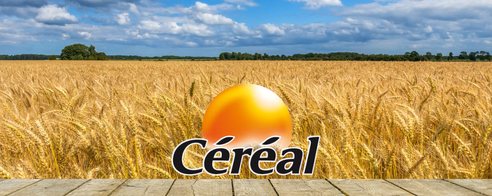 Céréal - 5 Cereals And Spelt Frollini - IAFSTORE.COM