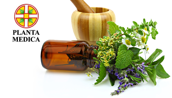 Planta Medica - Verum Fortelax Herbal Tea - IAFSTORE.COM