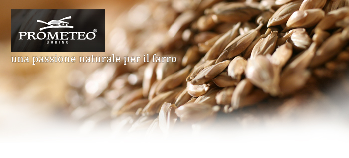 Prometeo - Monococco Spelt Wholemeal Flour - IAFSTORE.COM